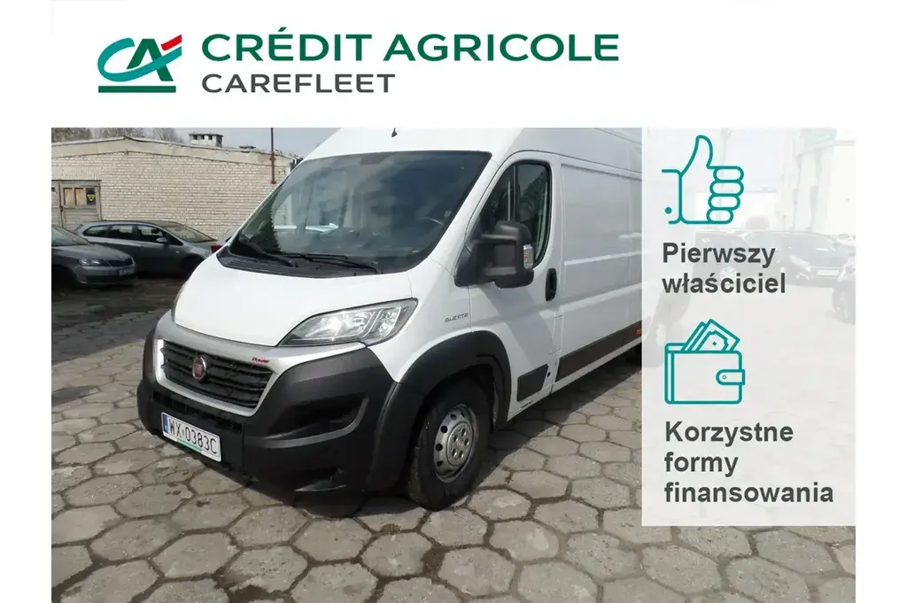 Fiat Ducato Furgon 2019